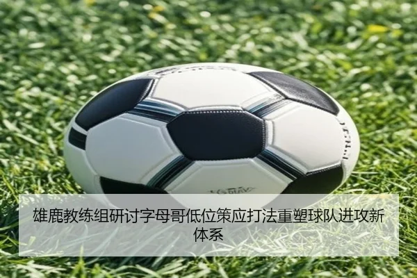 img_1782471965155_455_1_731.jpg