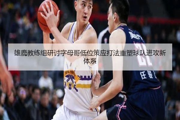 雄鹿教练组研讨字母哥低位策应打法重塑球队进攻新体系
